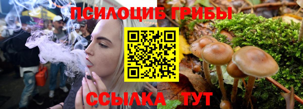 Псилоцибиновые грибы Magic Shrooms Костомукша